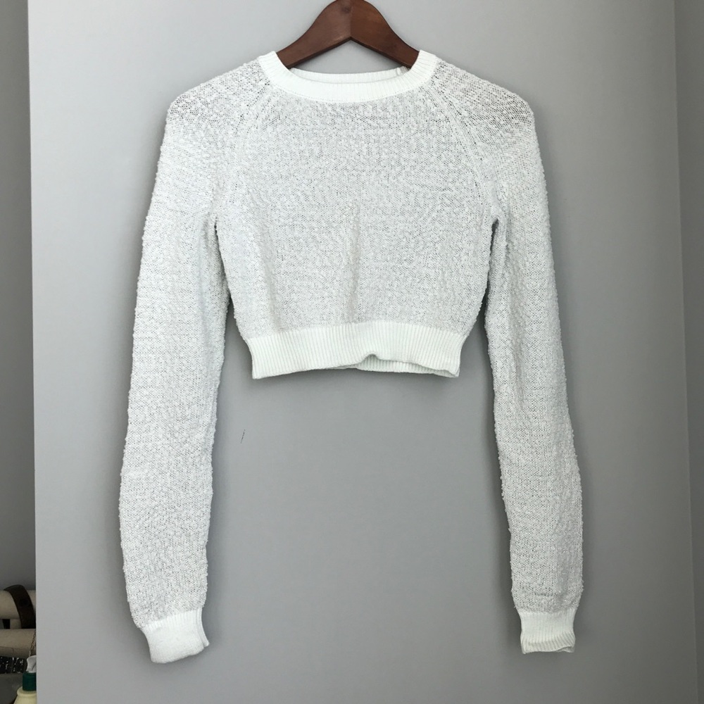 Tildon mint cropped sweater